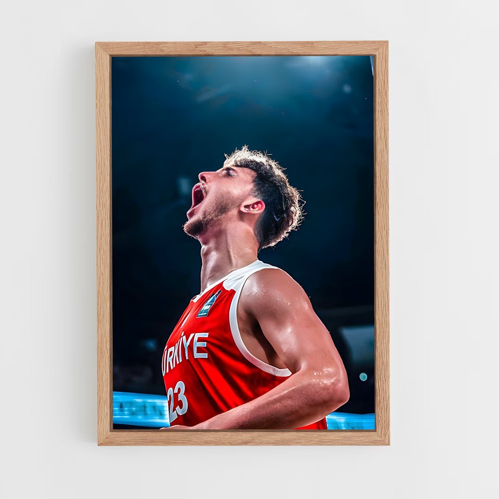 Poster Anadolu efes – affiche Basketball (vue 4)